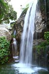 IMG_1311