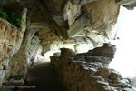 IMG_1317