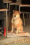 18077_228025460546_728800546_3246403_6369008_n