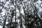 18077_220284840546_728800546_3207827_8312848_n
