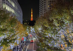 IMG_0307A