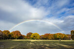 IMG_1226B