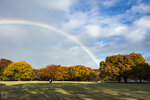 IMG_1277A