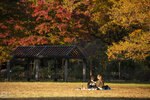 IMG_1286A