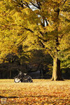 IMG_1294A