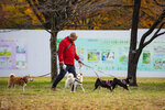 IMG_1309A