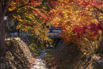 IMG_1665A