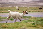 IMG_4579A