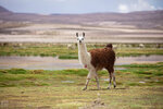 IMG_4640A