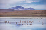 IMG_4754A