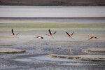 IMG_5200A