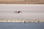 IMG_5235A