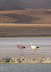 IMG_5416A