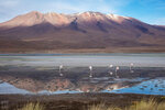 IMG_5483A