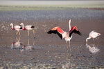 IMG_5542A