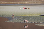 IMG_5553A