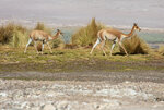 IMG_5699A