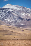 IMG_5791A