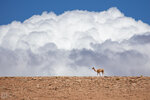 IMG_5833A