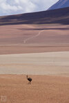IMG_5868A