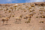 IMG_5905A
