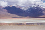 IMG_5918A