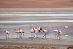 IMG_5934A