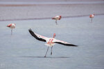 IMG_6025A
