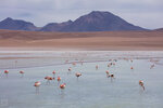 IMG_6041A