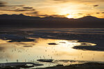 IMG_6182A