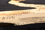 IMG_6207A