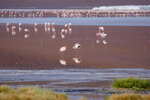 IMG_6281A