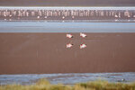 IMG_6294A