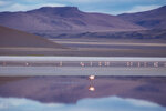 IMG_6418A