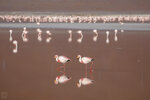 IMG_6493A