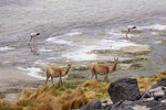 IMG_6656A