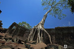 Cambodia_13A