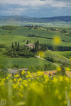 IMG_0026A