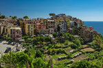 IMG_0482A