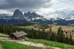 IMG_0528A