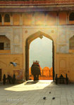 Jaipur_03