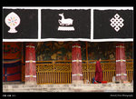 西藏0407_05a