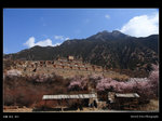 西藏0404_06a
