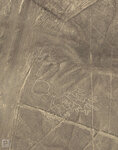 IMG_2529A