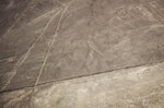 IMG_2543A