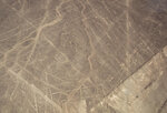 IMG_2546A