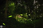 Taiwan_54
