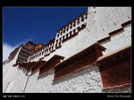 西藏0405_03a