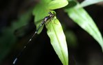 _DSC0040