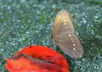 _DSC0054